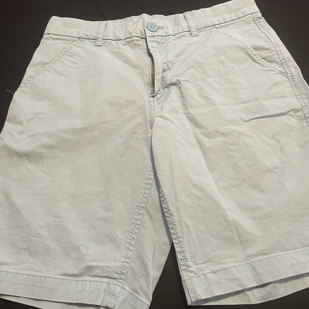 Calvin Klein Men’s shorts. Size 30 teal color